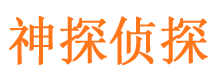 桐城侦探公司